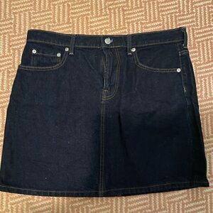 Everlane Denim Mini skirt